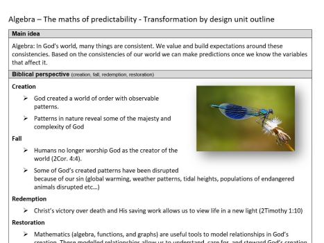Teacher Outline: Patterns and algebraic relationships.